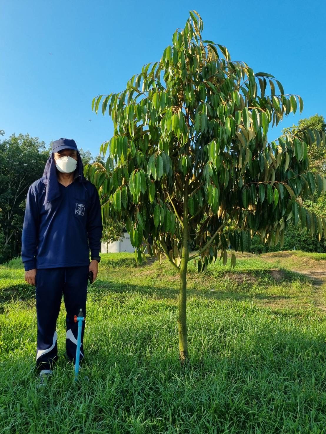 สวนพรชัย - นายพรชัยและต้นทุเรียน